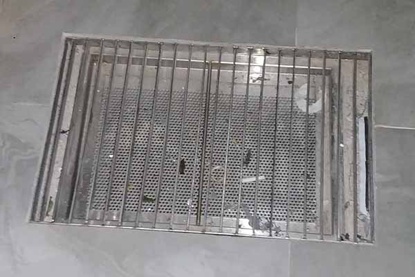 Gully cover with stainer